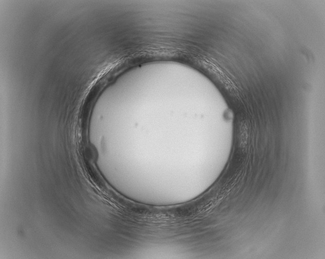 X0000115790731200912041512