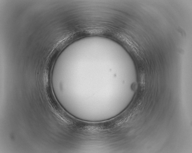 X0000115790733200912041512