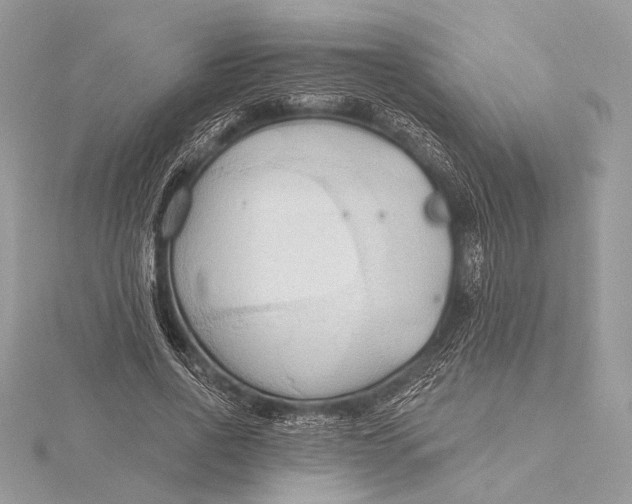 X0000115790734200912041512