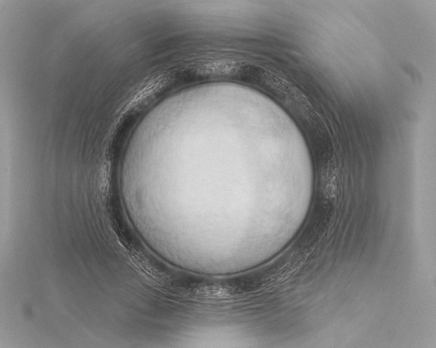 X0000115790735200912041512