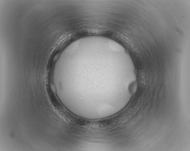 X0000115790738200912041512