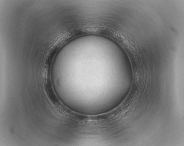 X0000115790739200912041512