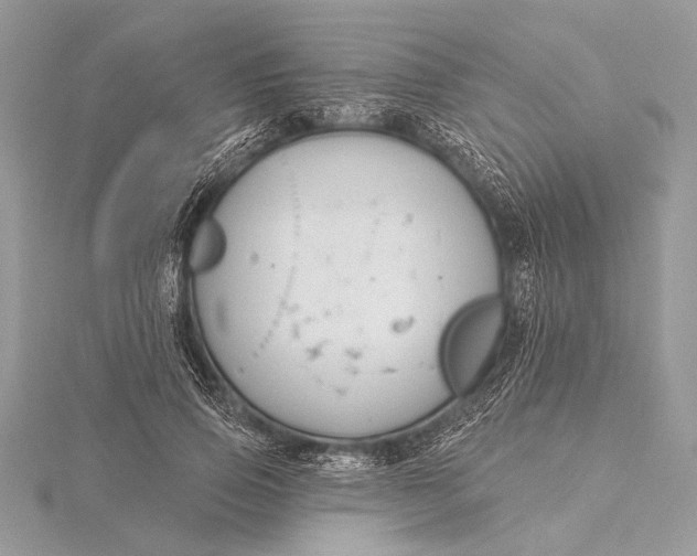 X0000115790741200912041512