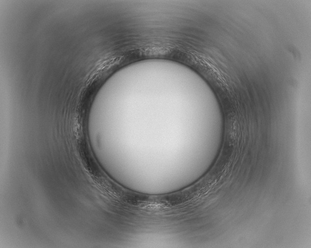 X0000115790743200912041512