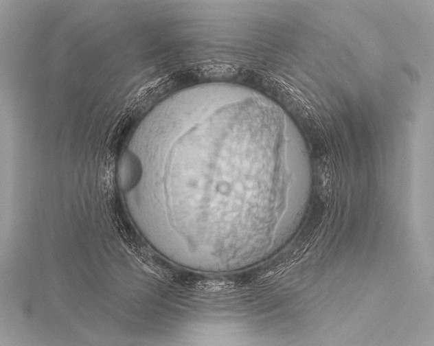 X0000115790745200912041512