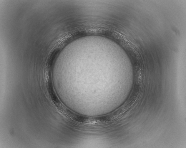 X0000115790746200912041512