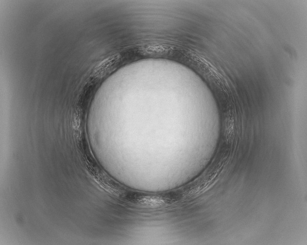 X0000115790749200912041512