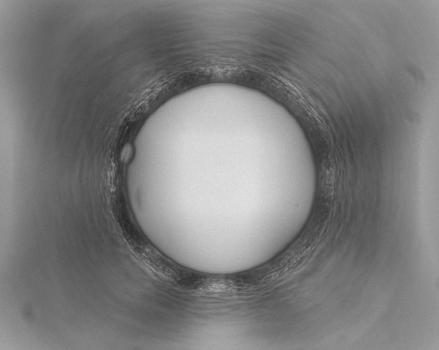 X0000115790750200912041512