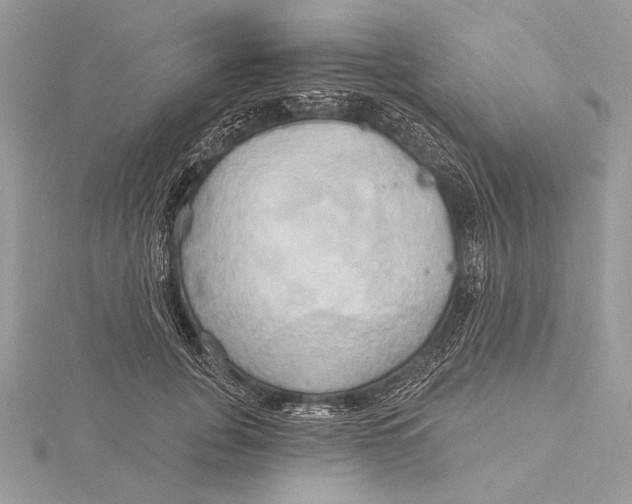 X0000115790751200912041512