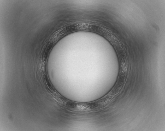 X0000115790753200912041512