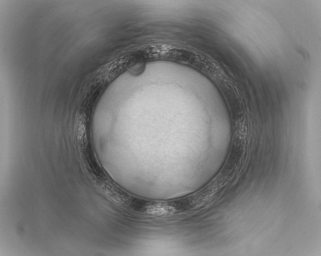 X0000115790754200912041512