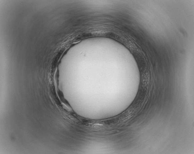 X0000115790755200912041512