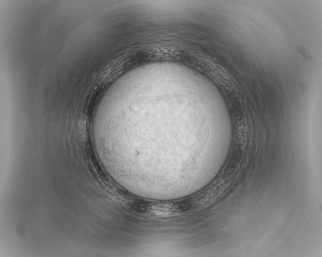 X0000115790757200912041512