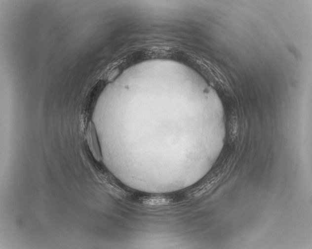 X0000115790759200912041512