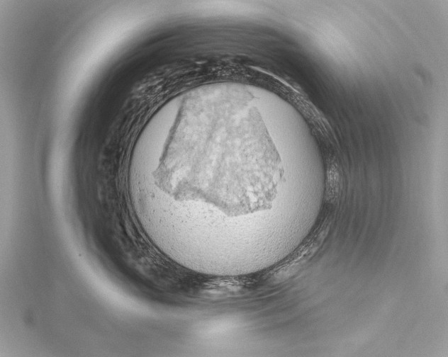 X0000115790765200912041512