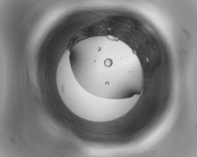 X0000115790766200912041512