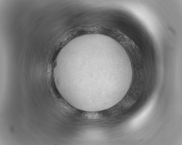 X0000115790767200912041512