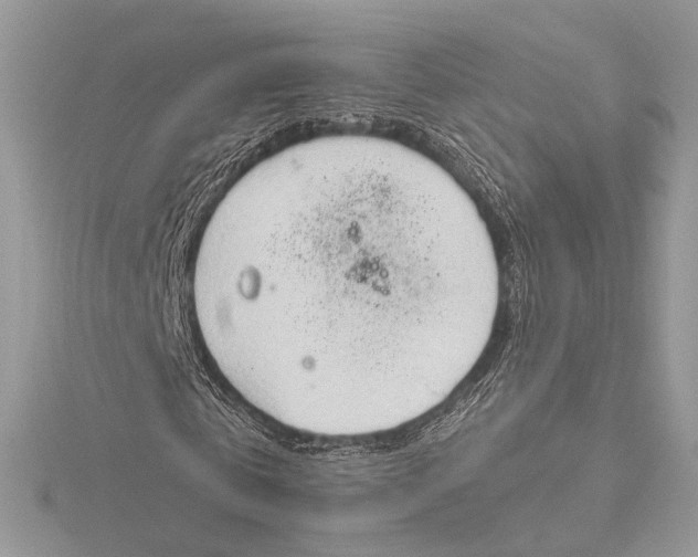 X0000115790769200912041512