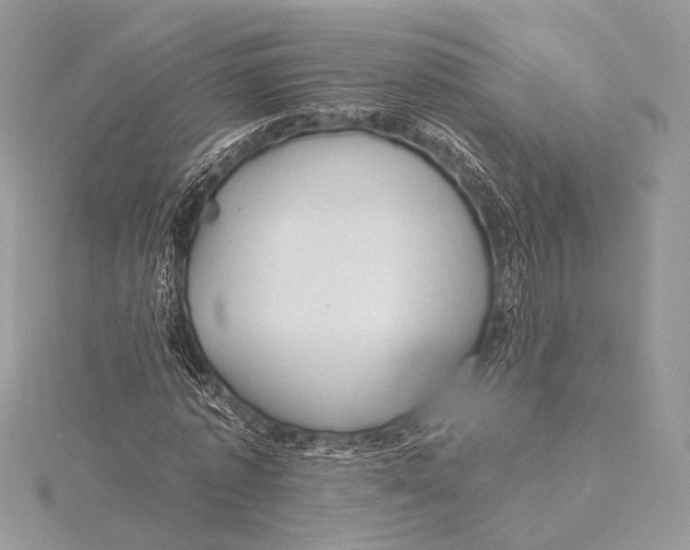 X0000115790773200912041512