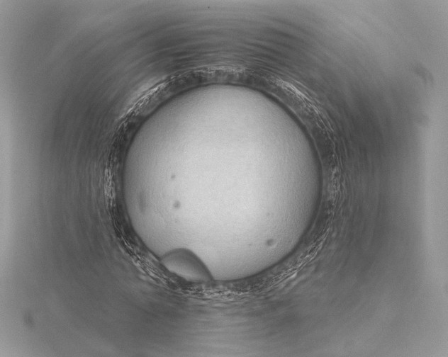 X0000115790774200912041512