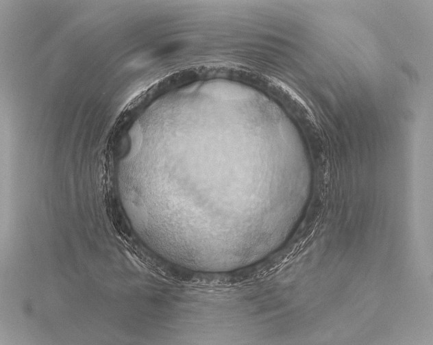 X0000115790775200912041512