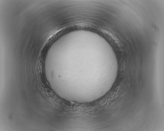 X0000115790776200912041512