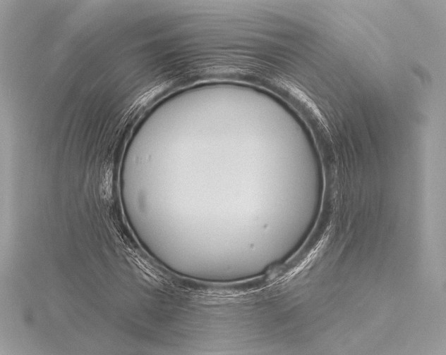 X0000115790777200912041512