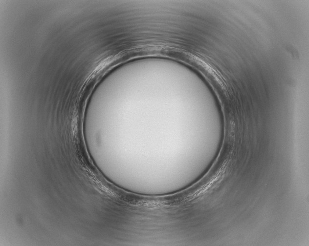 X0000115790778200912041512