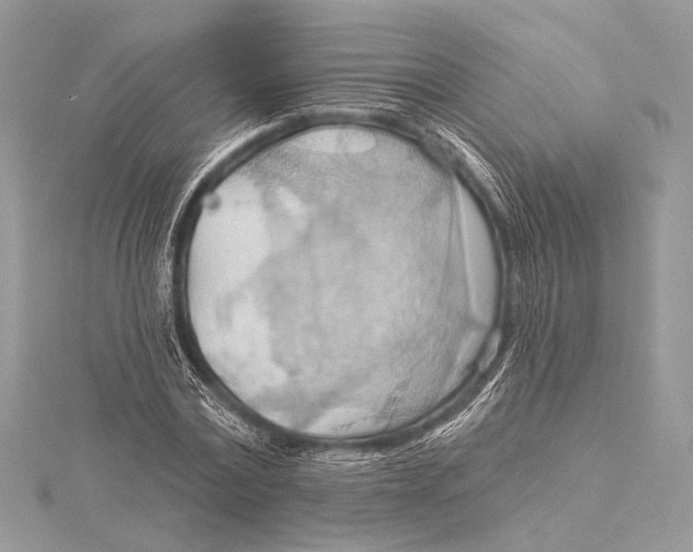 X0000115790779200912041512