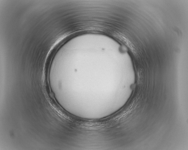 X0000115790780200912041512