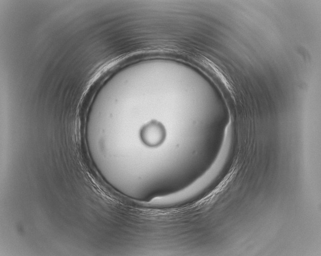 X0000115790781200912041512