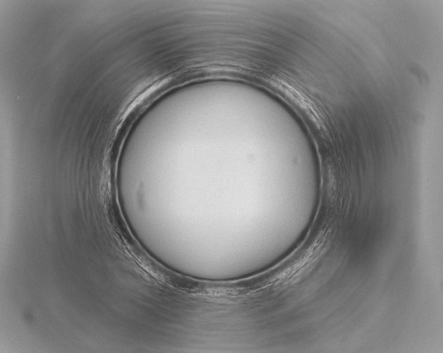 X0000115790782200912041512