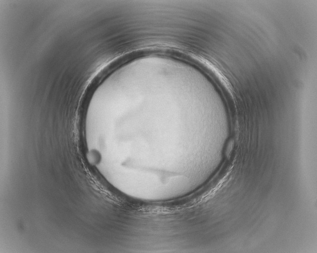 X0000115790783200912041512