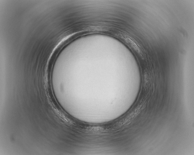 X0000115790784200912041511