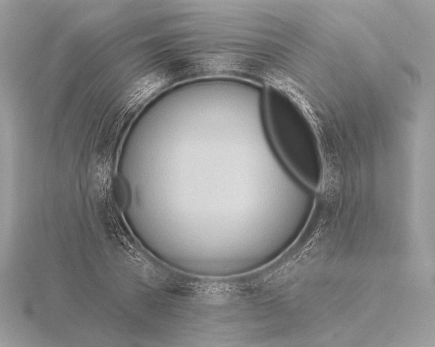 X0000115790785200912041511