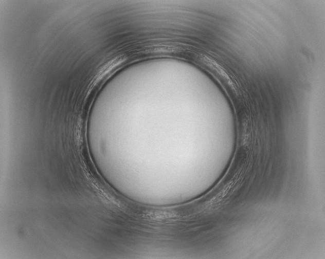 X0000115790786200912041511