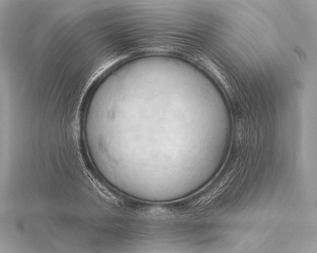 X0000115790787200912041511