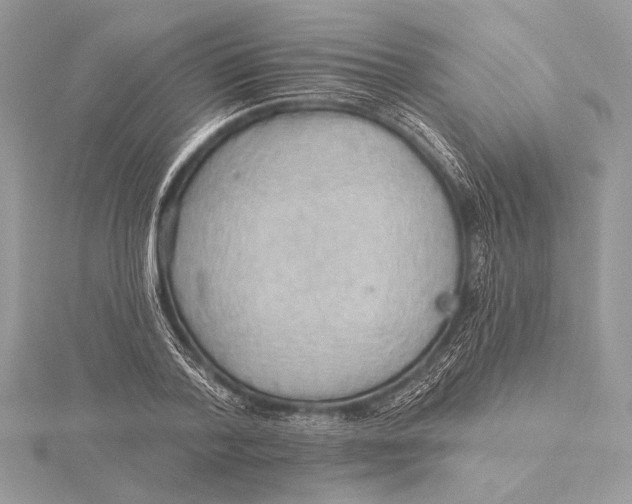 X0000115790788200912041511