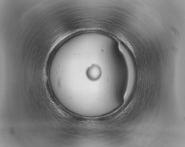 X0000115790789200912041511