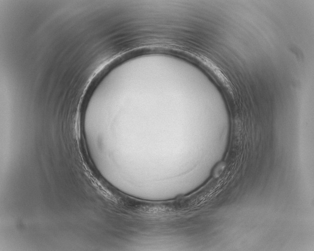 X0000115790791200912041511