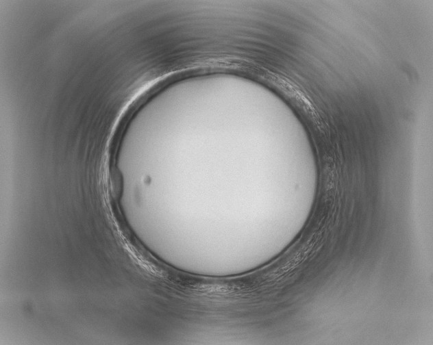 X0000115790792200912041511