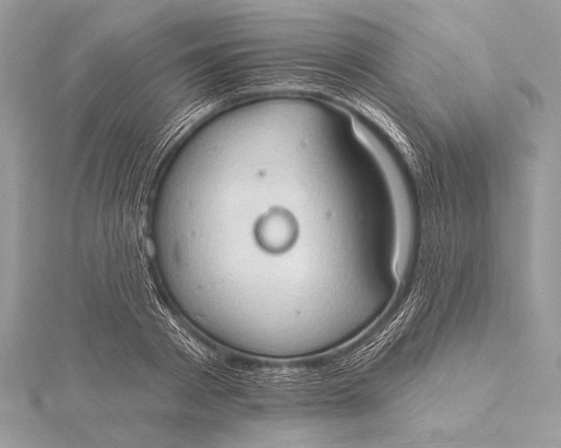 X0000115790793200912041511