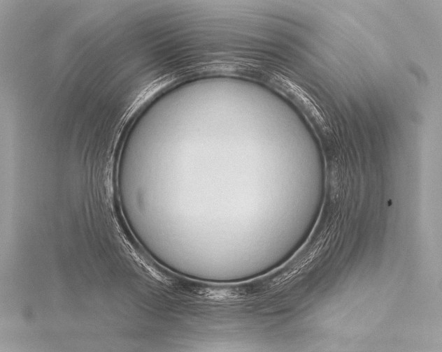 X0000115790794200912041511