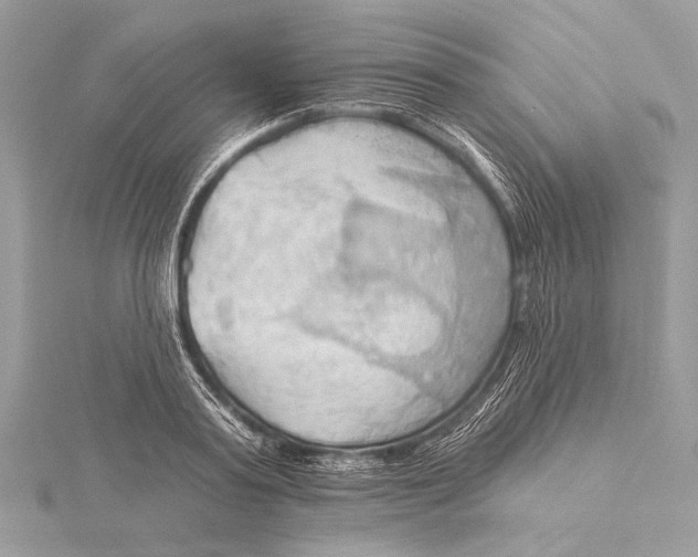 X0000115790795200912041511