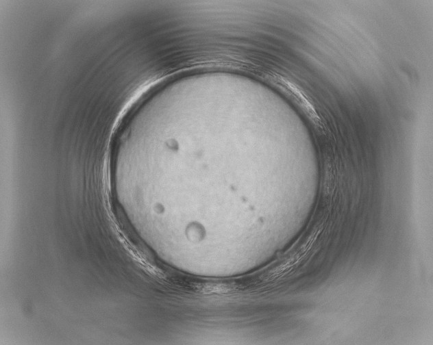 X0000115790796200912041511