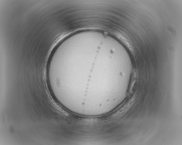 X0000115790797200912041511