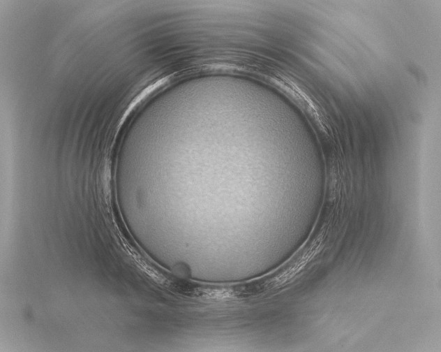 X0000115790798200912041511