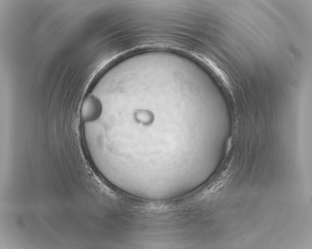 X0000115790799200912041511