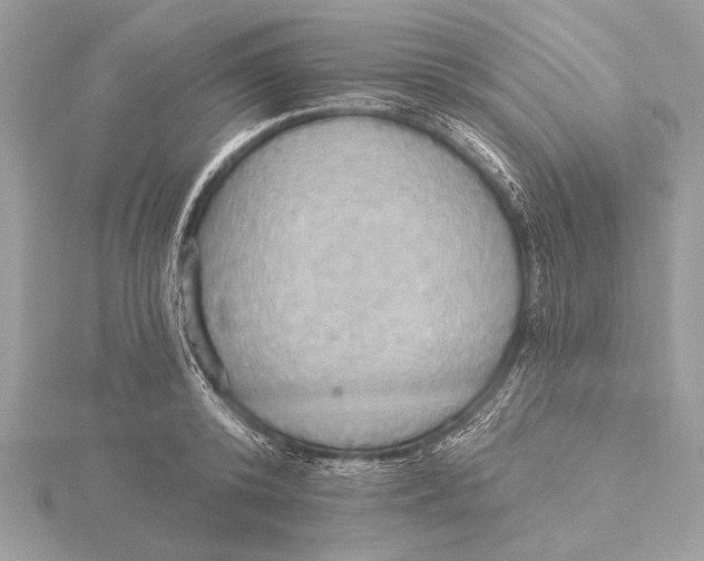 X0000115790800200912041511