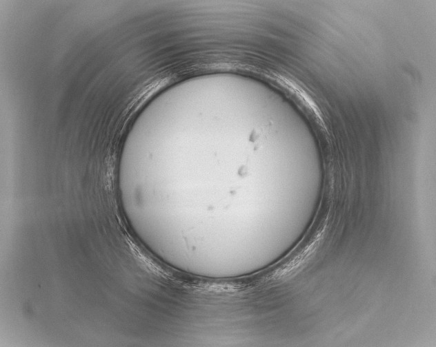 X0000115790801200912041511